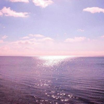 BO半岛综合app安全下载app下载