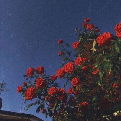 半岛.体育BANDAO SPORTS