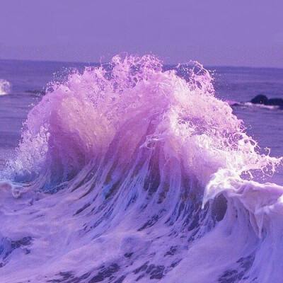 经典牛牛下载手机版